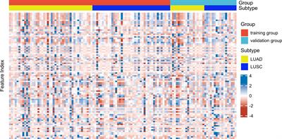 The Machine Learning Model for Distinguishing Pathological Subtypes of Non-Small Cell Lung Cancer